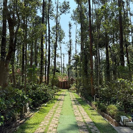 Coffee Grove Resort Chikmagalūr Dış mekan fotoğraf
