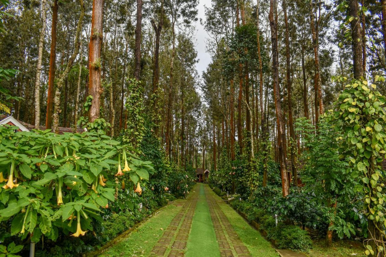 Coffee Grove Resort Chikmagalūr Dış mekan fotoğraf