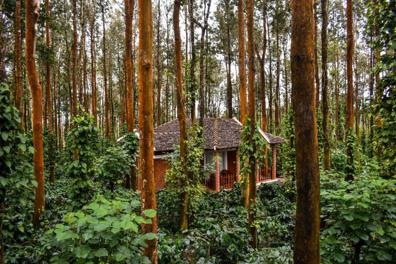 Coffee Grove Resort Chikmagalūr Dış mekan fotoğraf