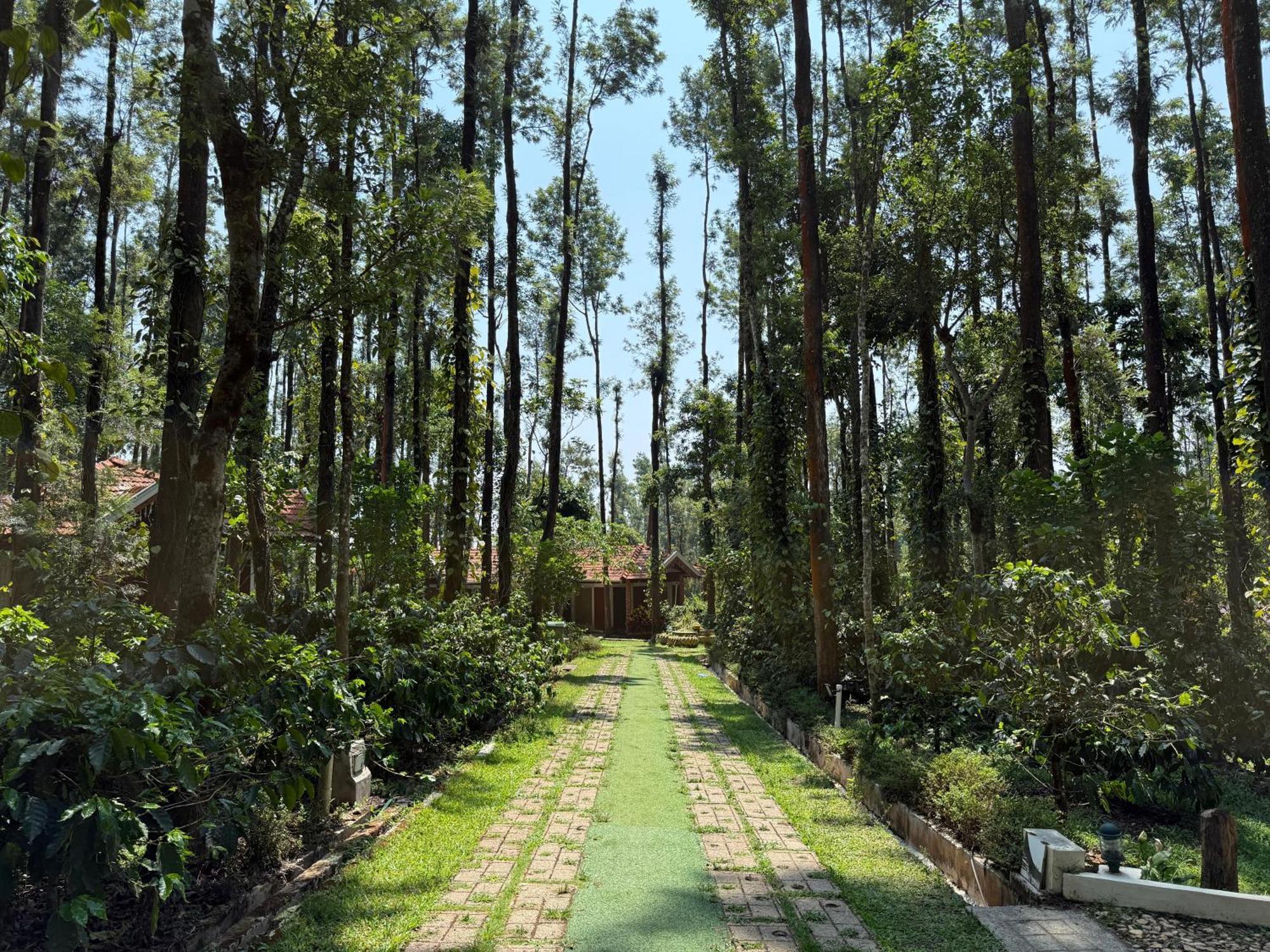 Coffee Grove Resort Chikmagalūr Dış mekan fotoğraf