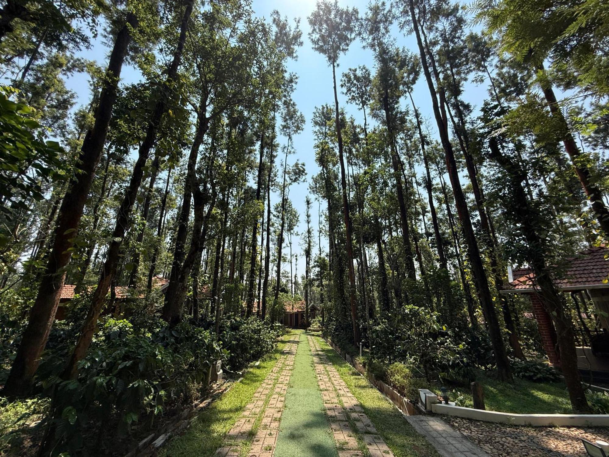 Coffee Grove Resort Chikmagalūr Dış mekan fotoğraf