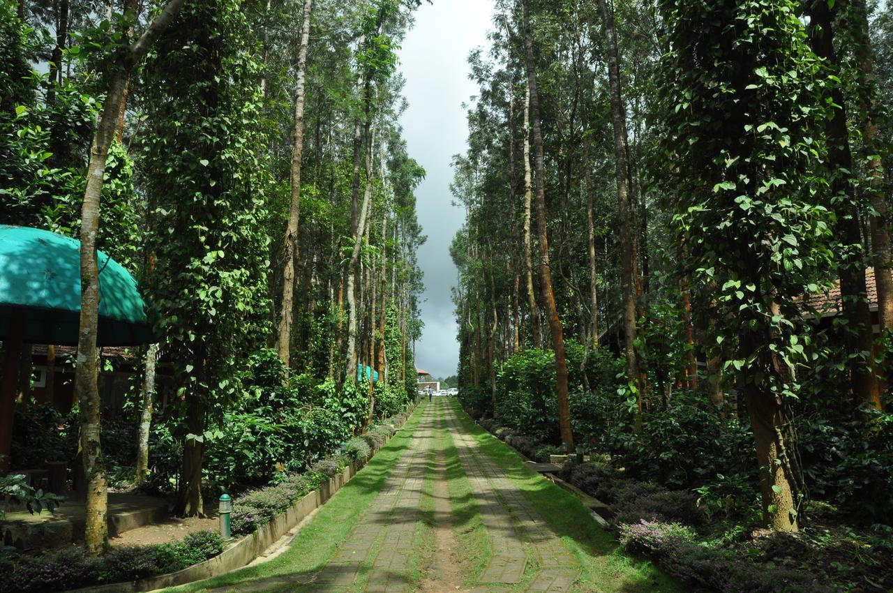 Coffee Grove Resort Chikmagalūr Dış mekan fotoğraf